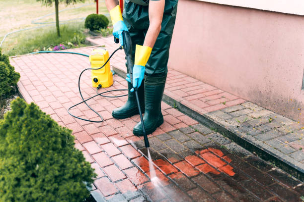 Best Exterior Home Cleaning  in Emmon, AK