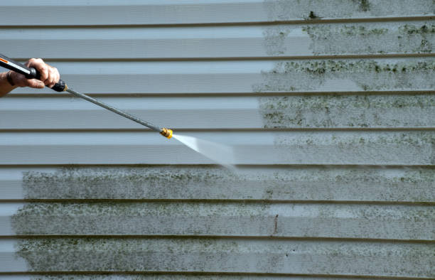 Best Roof Pressure Washing  in Emmon, AK